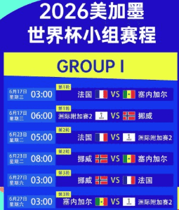 2026世界杯比赛用球